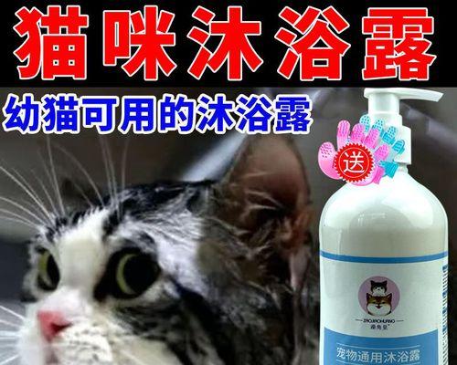 小猫身上的螨虫危害与预防（宠物猫身上螨虫的种类和症状表现）