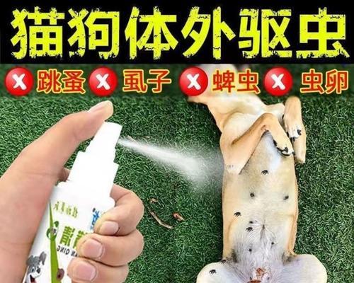 小猫跳骚怎么治疗（宠物爱护指南）