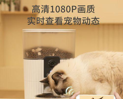 宠物小猫吐猫粮应对技巧（以小猫吐猫粮怎么办为例）