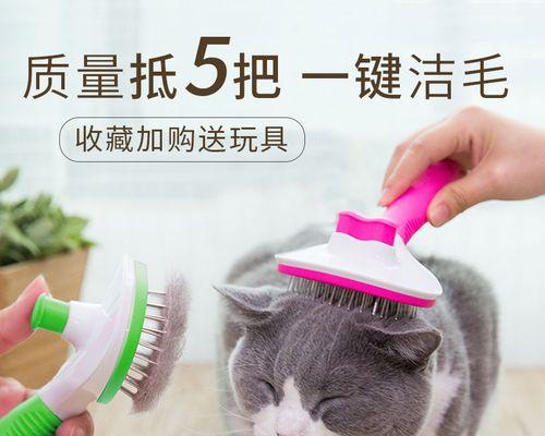 小猫脱毛，如何处理（掌握小猫脱毛的原因和解决方法）