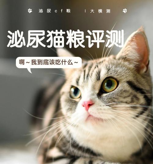 小猫喂什么奶粉最好（宠物主人必看！如何选购适合小猫的奶粉）