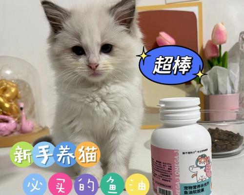 小猫喂什么奶粉最好（宠物主人必看！如何选购适合小猫的奶粉）