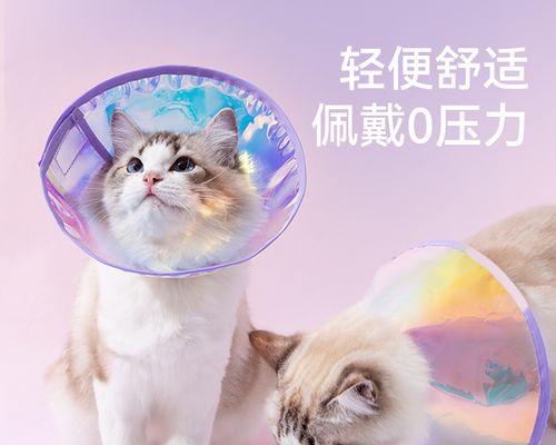 小猫咬伤怎么办（宠物伤人急救指南）