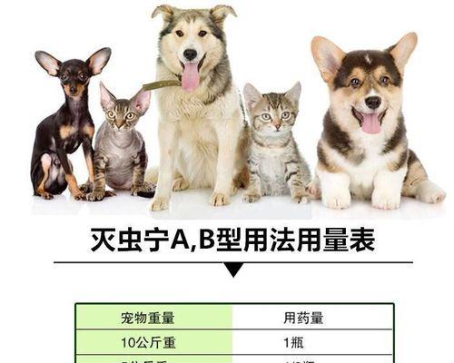 小猫驱虫全攻略（如何用药物安全有效地为宠物驱虫）