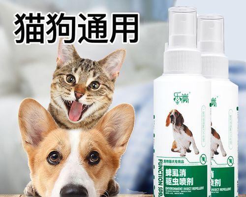 小猫的跳蚤是否致命（探究宠物跳蚤对小猫的影响及预防措施）