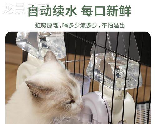 小猫如何喝水（宠物喝水的正确姿势与时间）