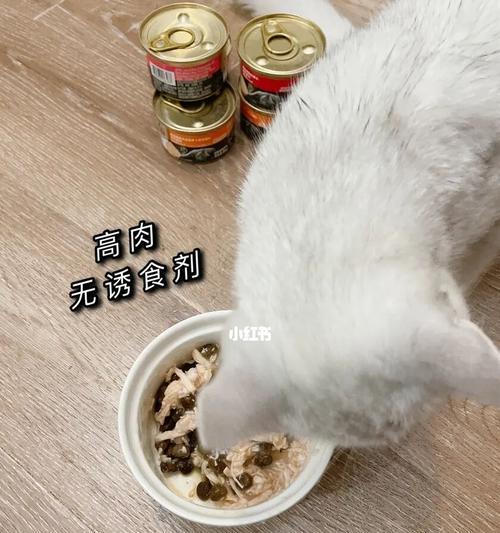 小猫只吃几颗猫粮的饮食习惯（宠物主人必看）