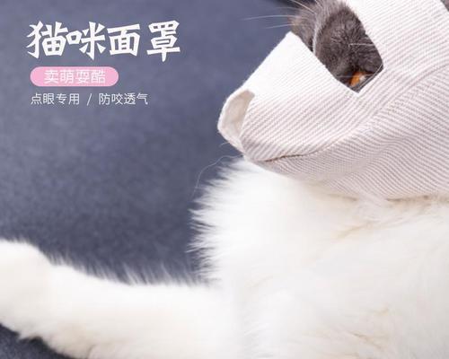 小猫总咬人，怎么办（以宠物为主）