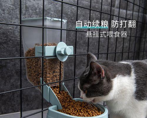 猫粮喂养全解析（以小猫咪猫粮喂多少为例）