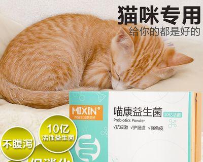 如何选择适合猫咪的益生菌（全面了解猫咪肠道健康）