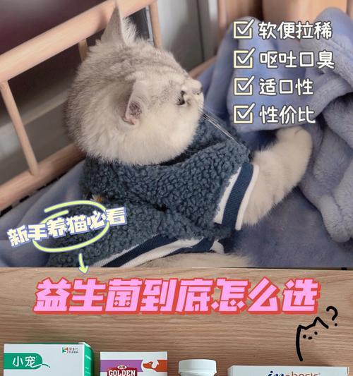 如何选择适合猫咪的益生菌（全面了解猫咪肠道健康）