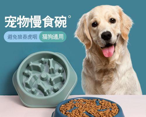 幼犬如何正确食用狗粮（以泡的方式喂养幼犬）