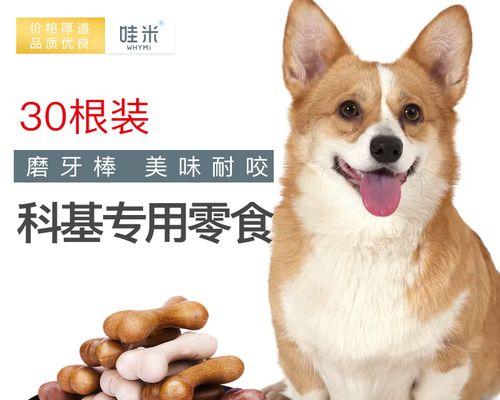 幼犬的饮食注意事项（让你的宠物健康成长）