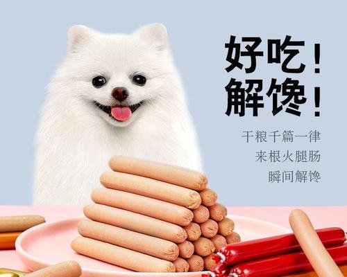 幼犬最爱的零食是什么（从宠物角度出发）