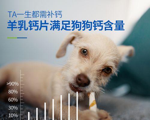 如何为幼犬提供适当的钙片（选择正确的钙片）