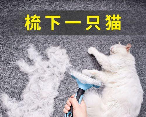 如何给宠物猫剃毛（技巧和步骤详解）