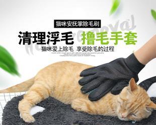 如何给宠物猫剃毛（技巧和步骤详解）