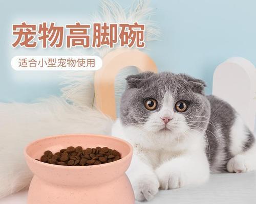 如何为你的猫咪取名（一份详细的指南让你为爱宠命名）