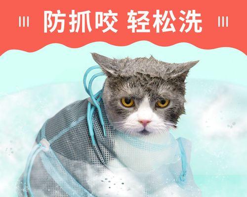 防治宠物猫咪咬线的措施（保护电器安全）