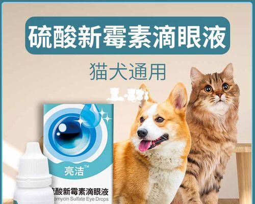 轻松给猫咪上眼药水，让它们摆脱眼疾烦恼（从准备眼药水到成功给猫咪滴药的全过程）