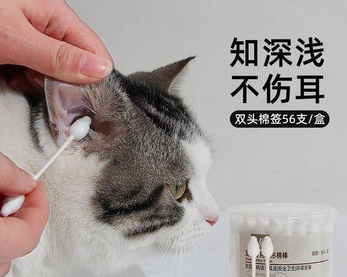 如何正确给宠物猫咪挖耳朵（学会科学的方式）