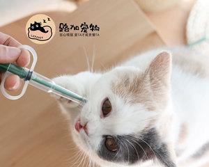 给爱宠猫咪喂药技巧详解（如何安全有效地给猫咪喂药）