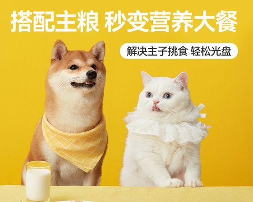 小猫补营养必知，健康成长不可少（宠物猫的饮食养生）