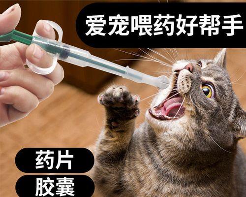 如何给宠物猫喂药水（小猫也需要吃药）