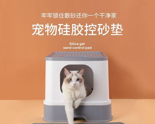 如何让宠物小猫去猫砂（轻松实现训练）