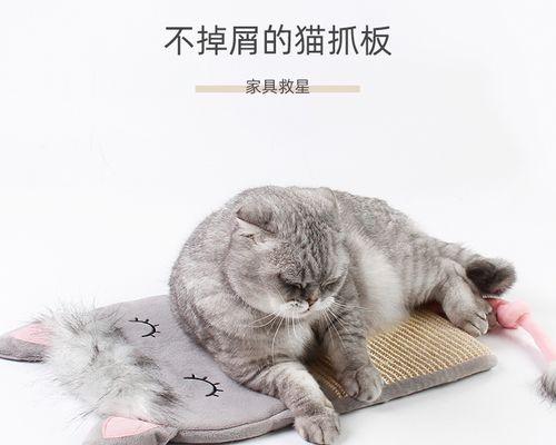 如何判断宠物猫咪的死亡（掌握这些方法）