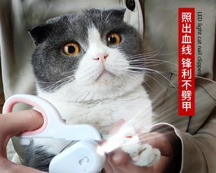 掌握正确的技巧让猫咪轻松剪指甲（掌握正确的技巧让猫咪轻松剪指甲）