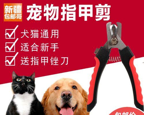 小猫如何剪指甲（宠物主人必知的技巧和方法）