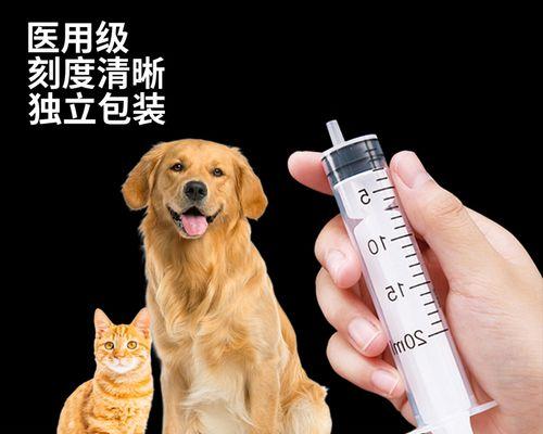 如何正确给猫咪喂药不吐（宠物的健康需要正确的喂药方法）