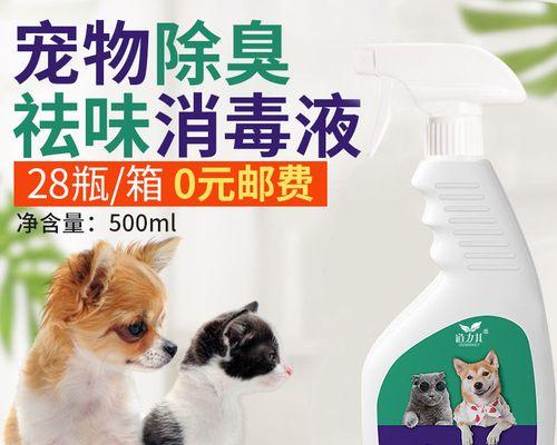 让爱猫不再惧水的绝妙方法（掌握这三招）