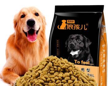 如何为你的金毛犬选择最适合的狗粮（了解金毛犬的饮食需求和如何挑选健康的狗粮）