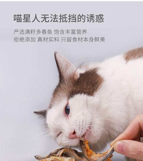 海鱼做猫粮的制作方法（以宠物为主）