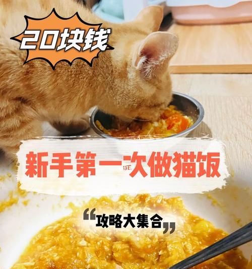 用猪肉为宠物猫制作美味的猫饭（以健康和营养为宠物猫考虑的猪肉饭配方）