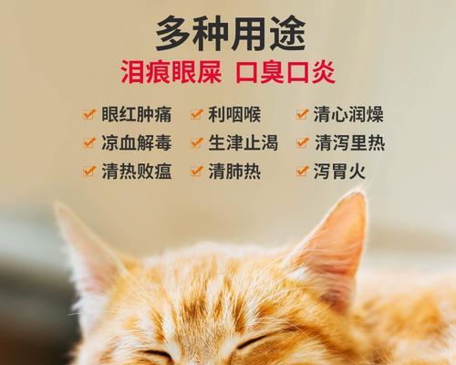 如何预防猫咪口炎（宠物养护指南）