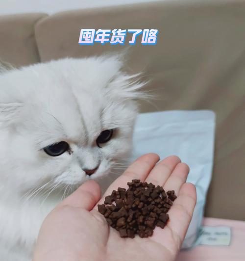 小猫为何不吃饭只舔塑料（宠物食欲失调的原因和解决方法）