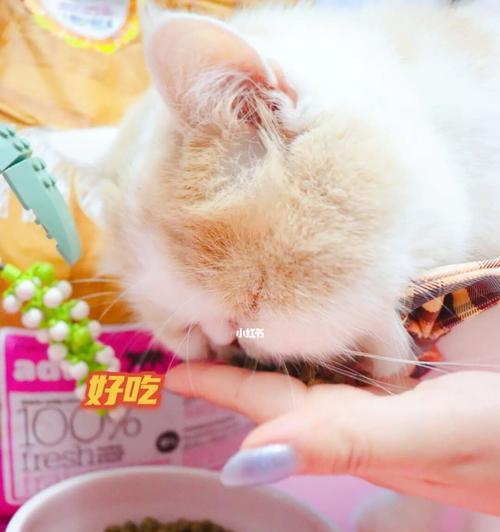 小猫吃成猫粮拉稀怎么办（宠物猫的饮食健康与拉稀问题）