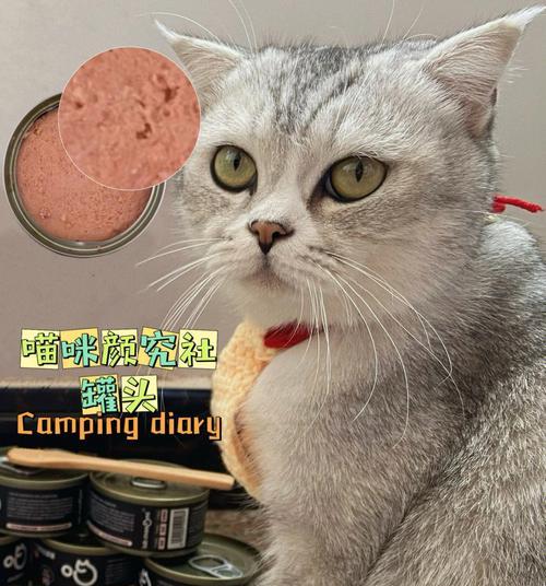 小猫吃凉罐头会吐吗（宠物主人必读的食品安全指南）