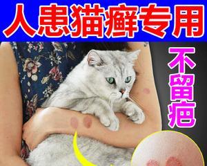 小猫得猫藓，这些药物要知道（以宠物为主）