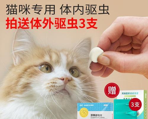 小猫驱虫时间表（宠物护理必备）