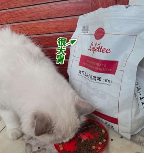 小猫能否独自食用猫粮？