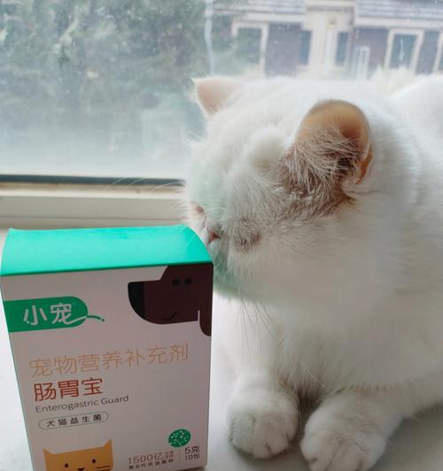 小猫拉肚子该打针吗（宠物拉肚子的原因与解决方法）