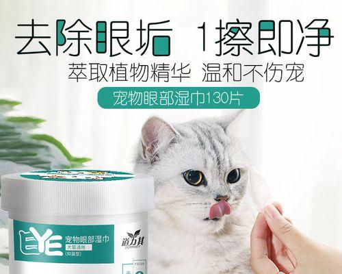 小猫屁股烂了怎么办（以宠物为主的健康指南）