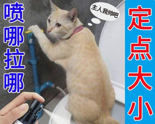 宠物小猫的便便行为（以小猫要便便时的反应为主题）