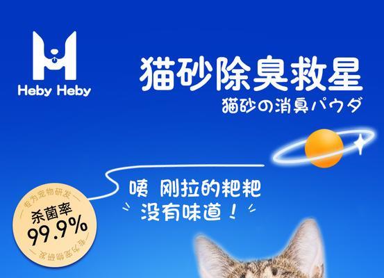 猫咪眼睛清洗液的正确使用方法（宠物眼部健康重要性及清洗液的选择）