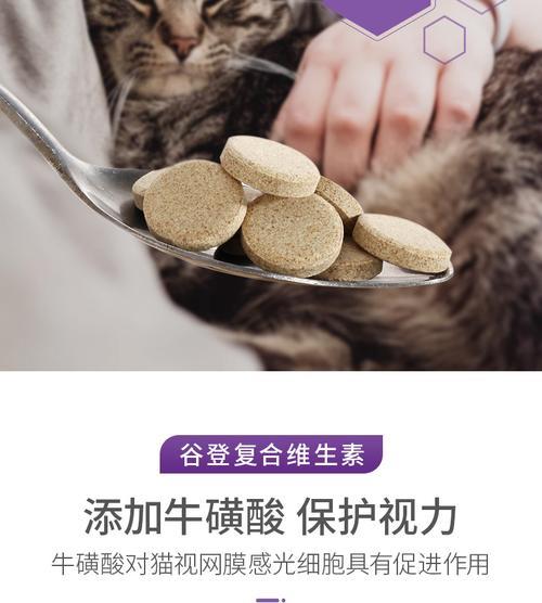 宠物猫咪所需的维生素B（为您的爱猫补充足够的维生素B）