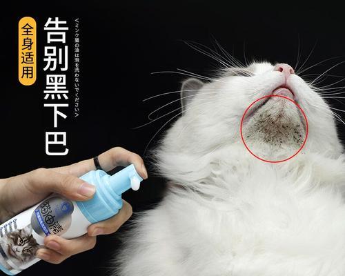 猫咪口腔黑点的原因与防治（揭秘黑点背后的秘密）